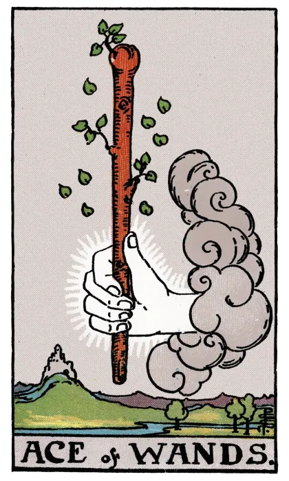 Ace of Wands tarot card from a Rider-Waite-Smith-style deck